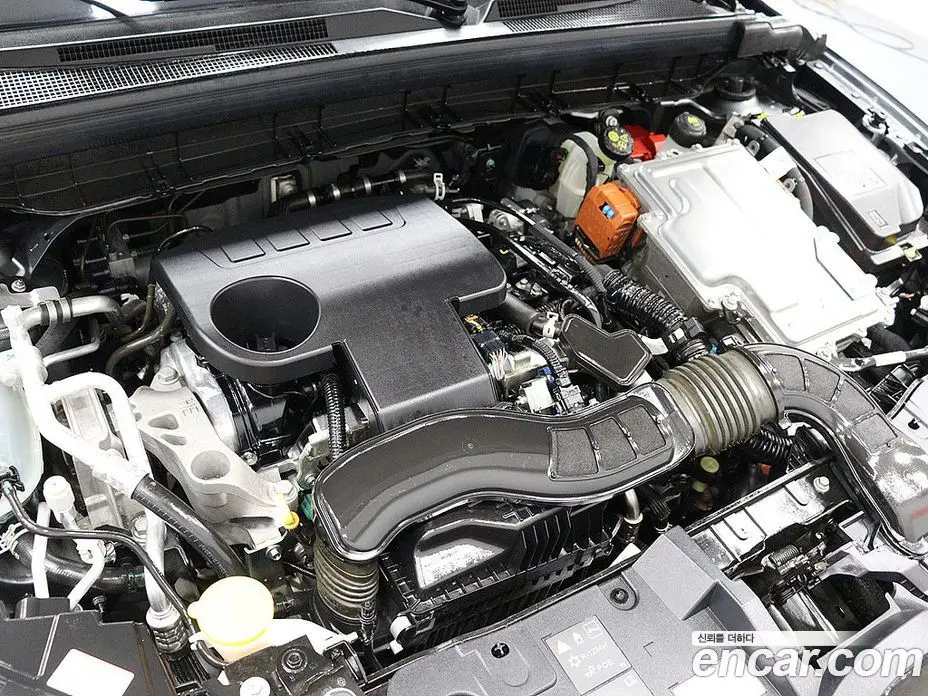 Renault (Samsung) XM3 2023 1.6 автомат (гидро), фото 6