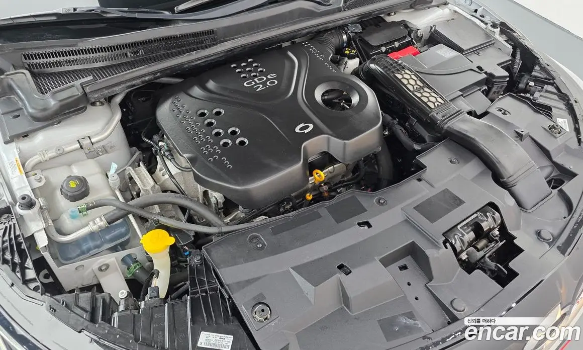 Renault (Samsung) SM6 2018 2.0 автомат (гидро), фото 6