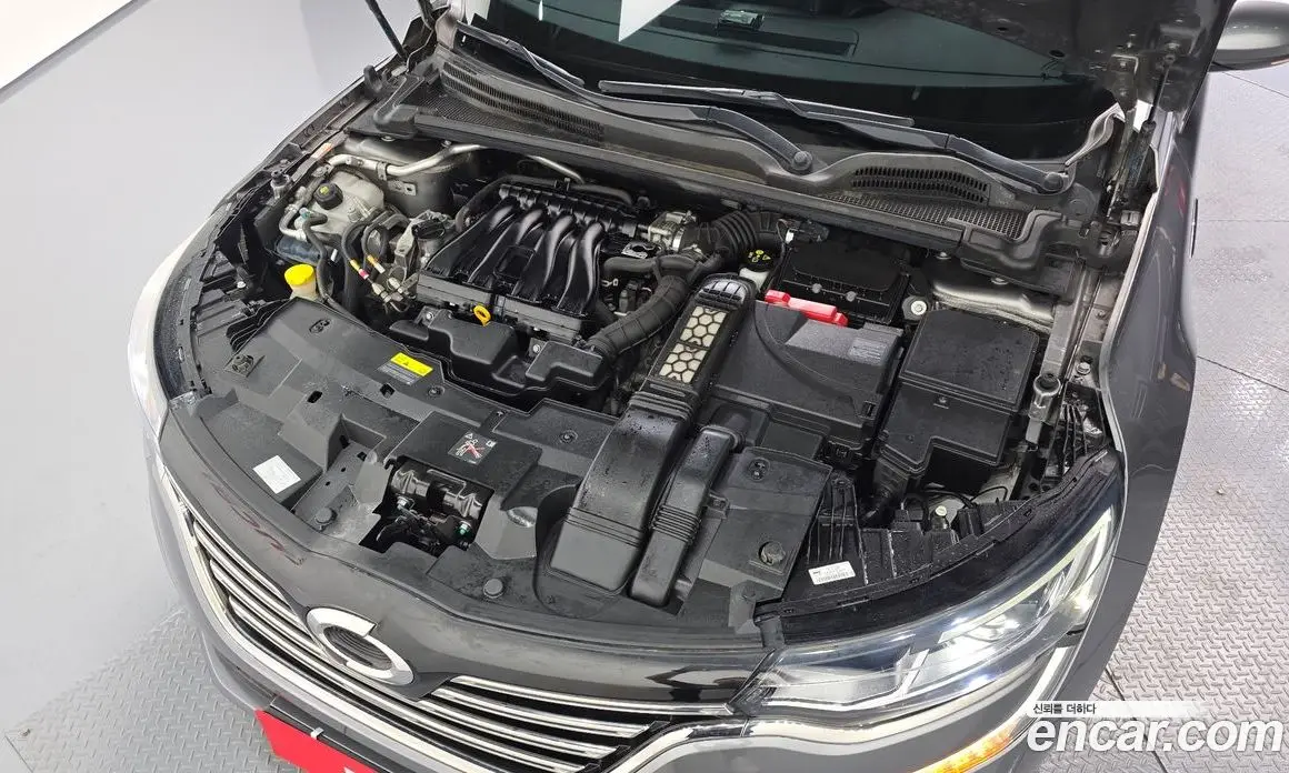 Renault (Samsung) SM6 2019 2.0 автомат (гидро), фото 6