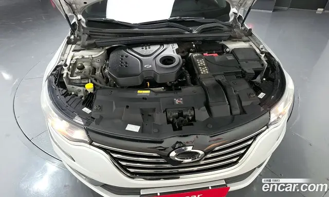 Renault (Samsung) SM6 2019 2.0 автомат (гидро), миниатюра 6