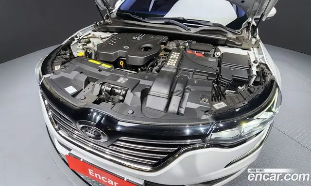 Renault (Samsung) SM6 2019 2.0 автомат (гидро), миниатюра 6