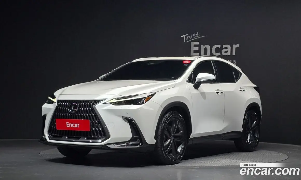 Lexus NX 2022 2.5 автомат (гидро), фото 1 Lexus NX 2022 2.5 автомат (гидро), фото 1