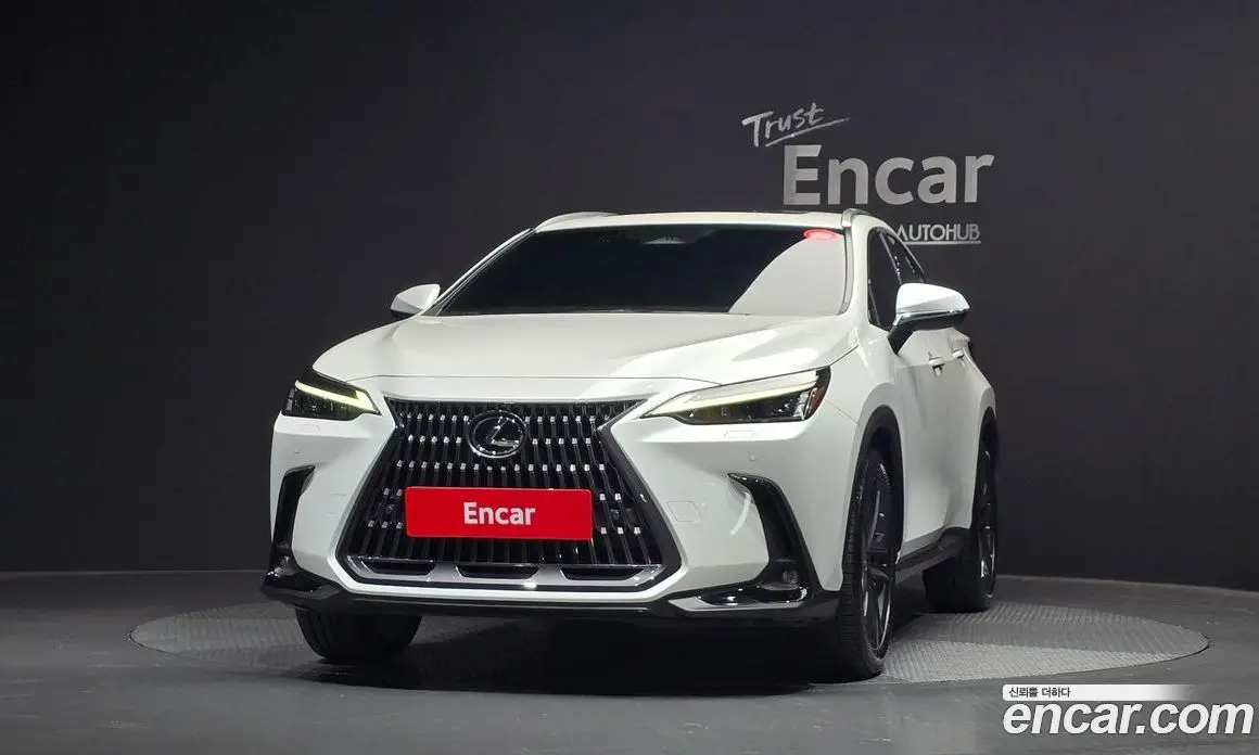 Lexus NX 2022 2.5 автомат (гидро), фото 3 Lexus NX 2022 2.5 автомат (гидро), фото 3