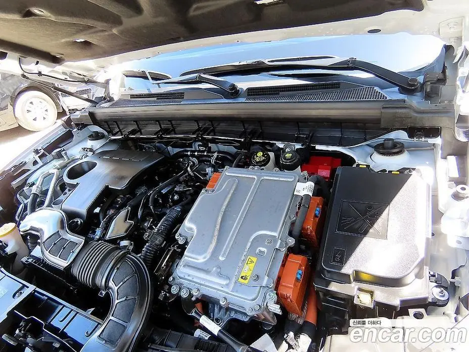 Renault (Samsung) Arkana 2024 1.6 автомат (гидро), фото 19