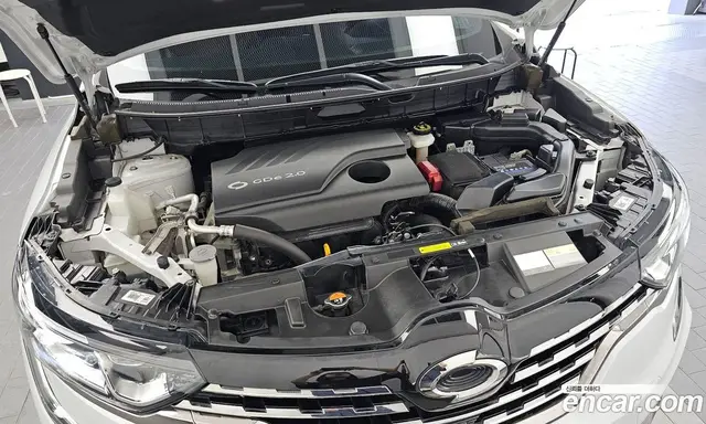 Renault (Samsung) QM6 2019 2.0 автомат (гидро), миниатюра 6