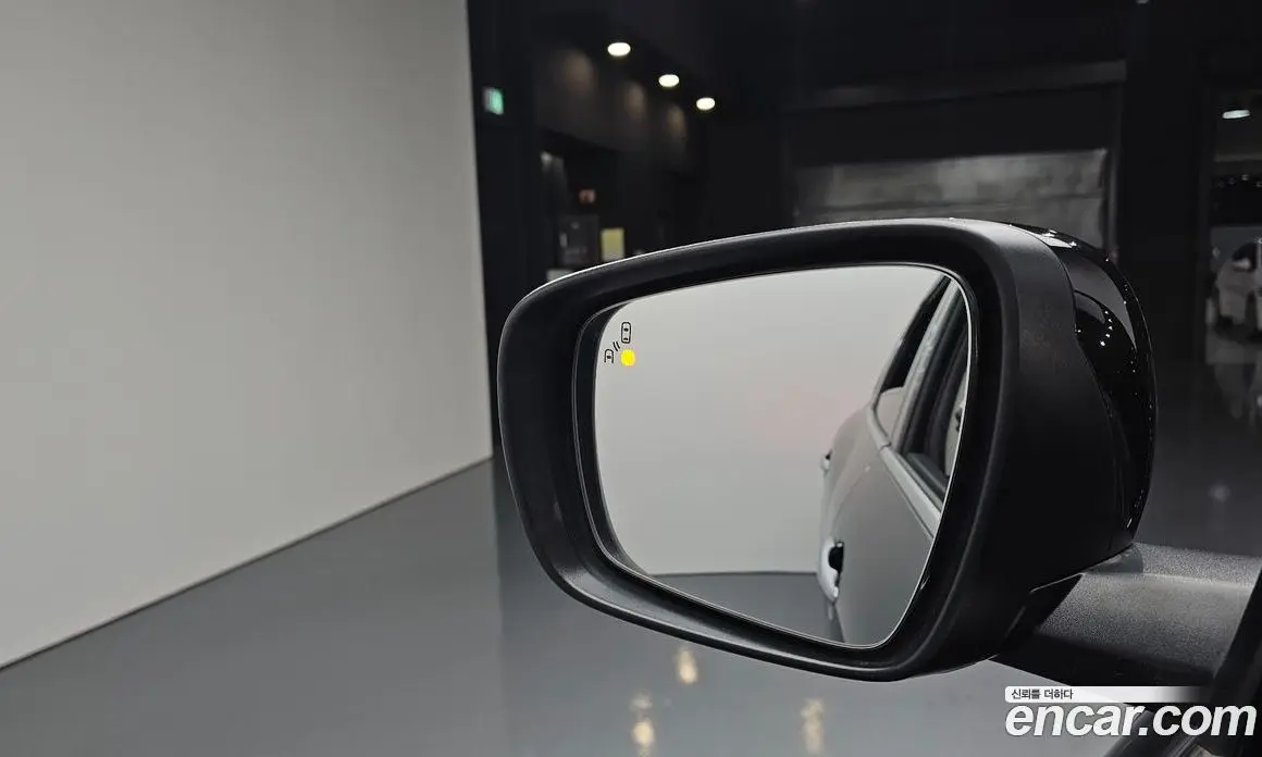 Renault (Samsung) QM6 2020 2.0 автомат (гидро), фото 13