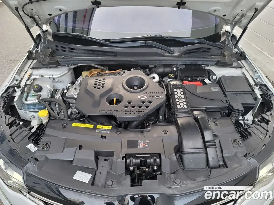 Renault (Samsung) SM6 2018 1.6 автомат (гидро), фото 16