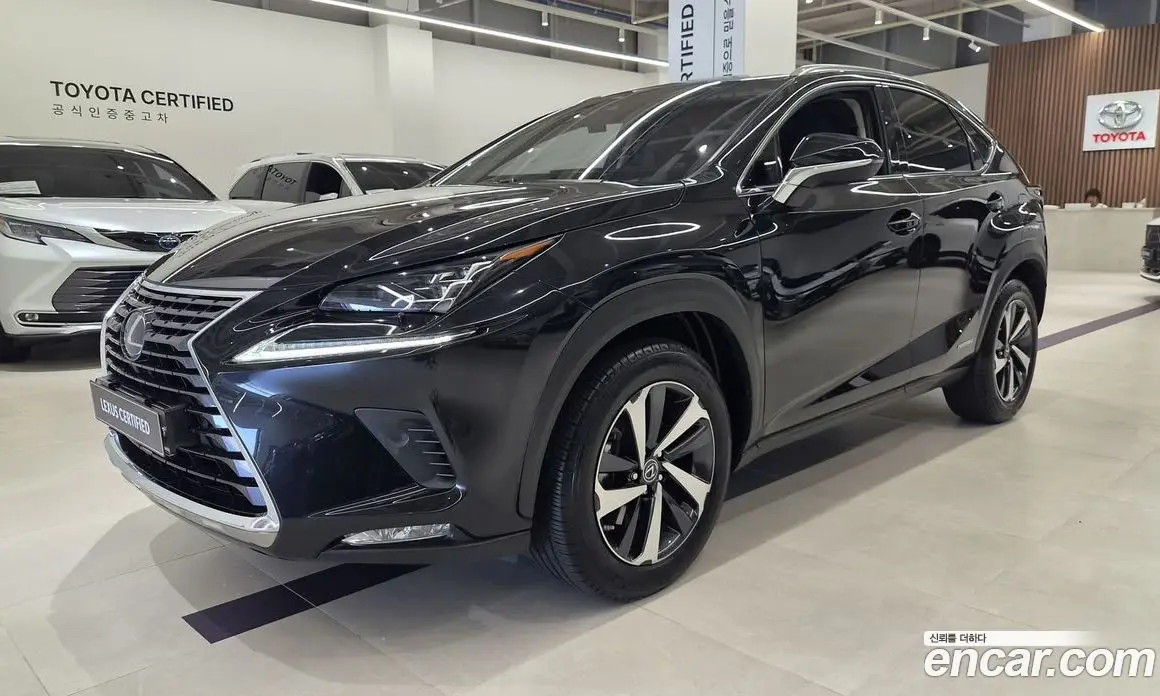 Lexus NX 2021 2.5 автомат (вариатор), фото 1 Lexus NX 2021 2.5 автомат (вариатор), фото 1