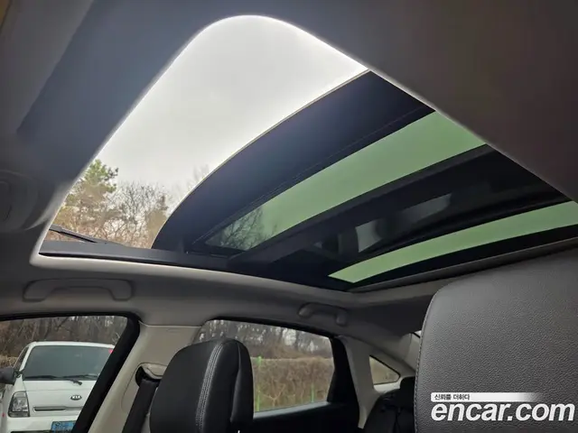 Renault (Samsung) SM6 2016 2.0 автомат (гидро), миниатюра 11