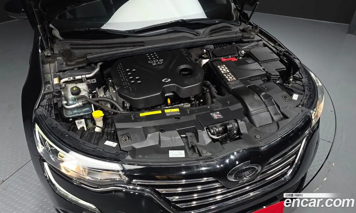 Renault (Samsung) SM6 2016 2.0 автомат (гидро), фото 6