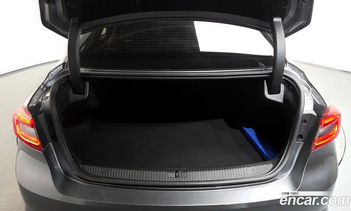 Renault (Samsung) SM6 2019 2.0 автомат (гидро), фото 18