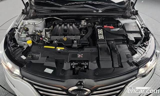 Renault (Samsung) SM6 2020 2.0 автомат (гидро), миниатюра 5