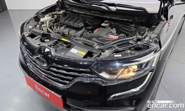 Renault (Samsung) QM6 2019 2.0 автомат (гидро), миниатюра 6