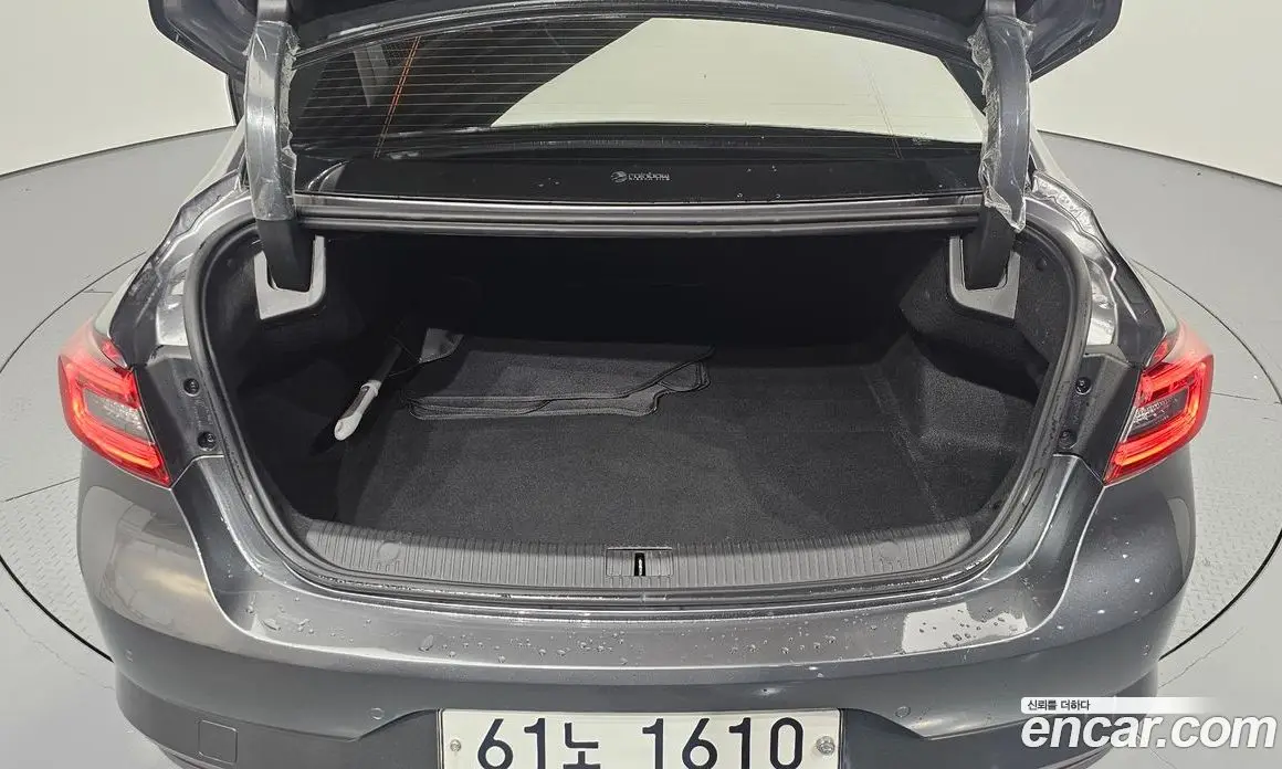 Renault (Samsung) SM6 2019 2.0 автомат (гидро), фото 26