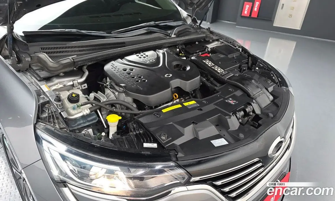 Renault (Samsung) SM6 2019 2.0 автомат (гидро), фото 6