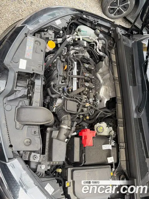 Renault (Samsung) Arkana 2024 1.6 автомат (гидро), фото 6