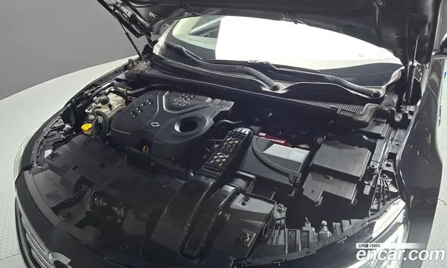 Renault (Samsung) SM6 2016 2.0 автомат (гидро), миниатюра 6
