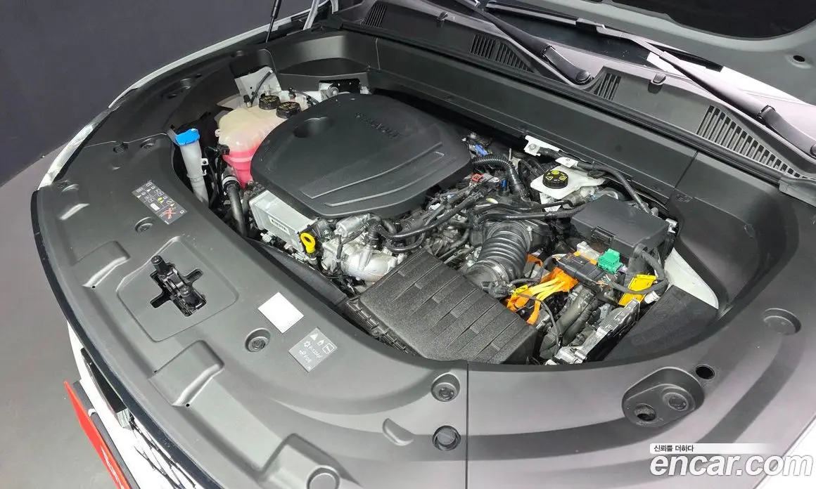 Renault (Samsung) Grand Koleos 2024 1.5 автомат (гидро), фото 6