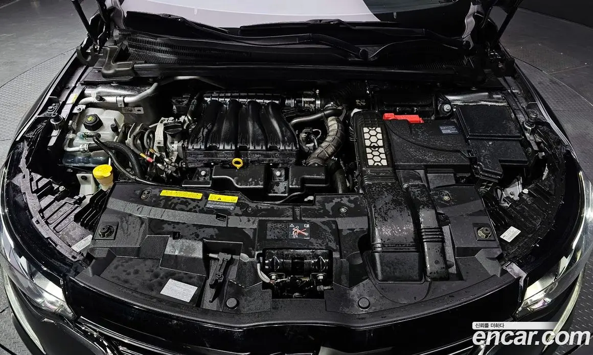 Renault (Samsung) SM6 2016 2.0 автомат (гидро), фото 6