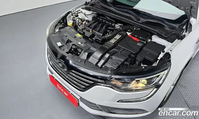 Renault (Samsung) SM6 2020 2.0 автомат (гидро), миниатюра 6