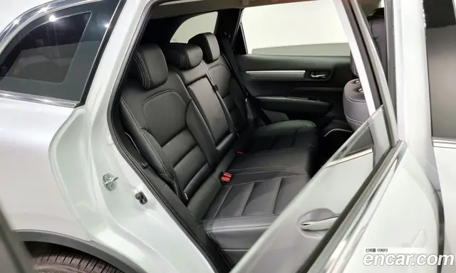 Renault (Samsung) QM6 2019 2.0 автомат (гидро), миниатюра 12
