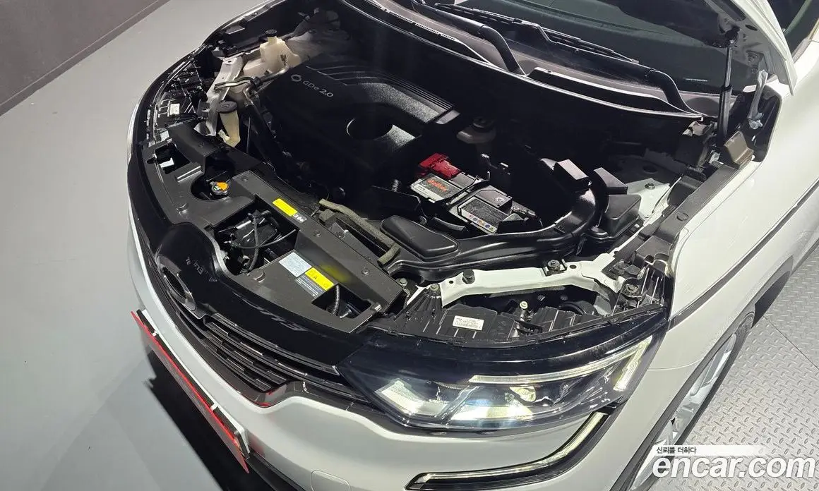 Renault (Samsung) QM6 2019 2.0 автомат (гидро), фото 6