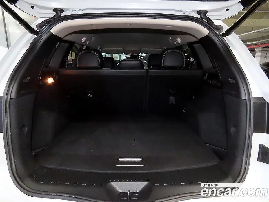 Renault (Samsung) QM6 2019 2.0 автомат (гидро), фото 18