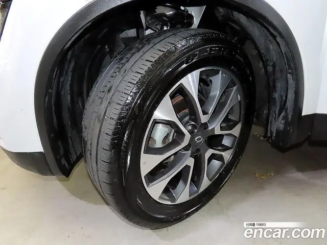 Renault (Samsung) QM6 2019 2.0 автомат (гидро), миниатюра 5