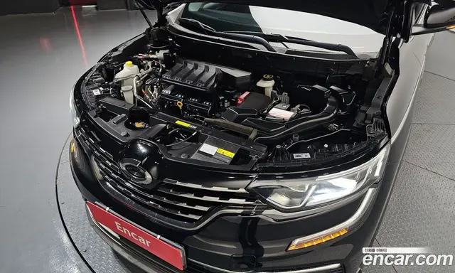 Renault (Samsung) QM6 2019 2.0 автомат (гидро), миниатюра 6
