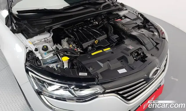 Renault (Samsung) SM6 2020 2.0 автомат (гидро), миниатюра 6