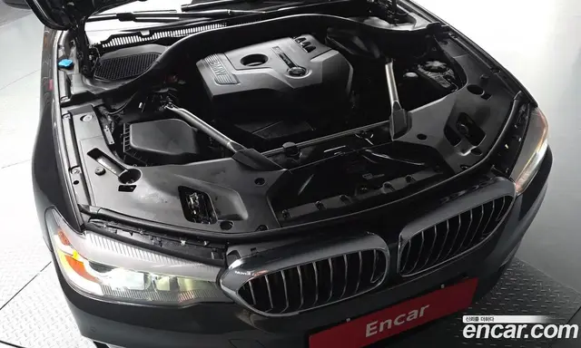 BMW 5 серия 2019 2.0 автомат (гидро), миниатюра 5