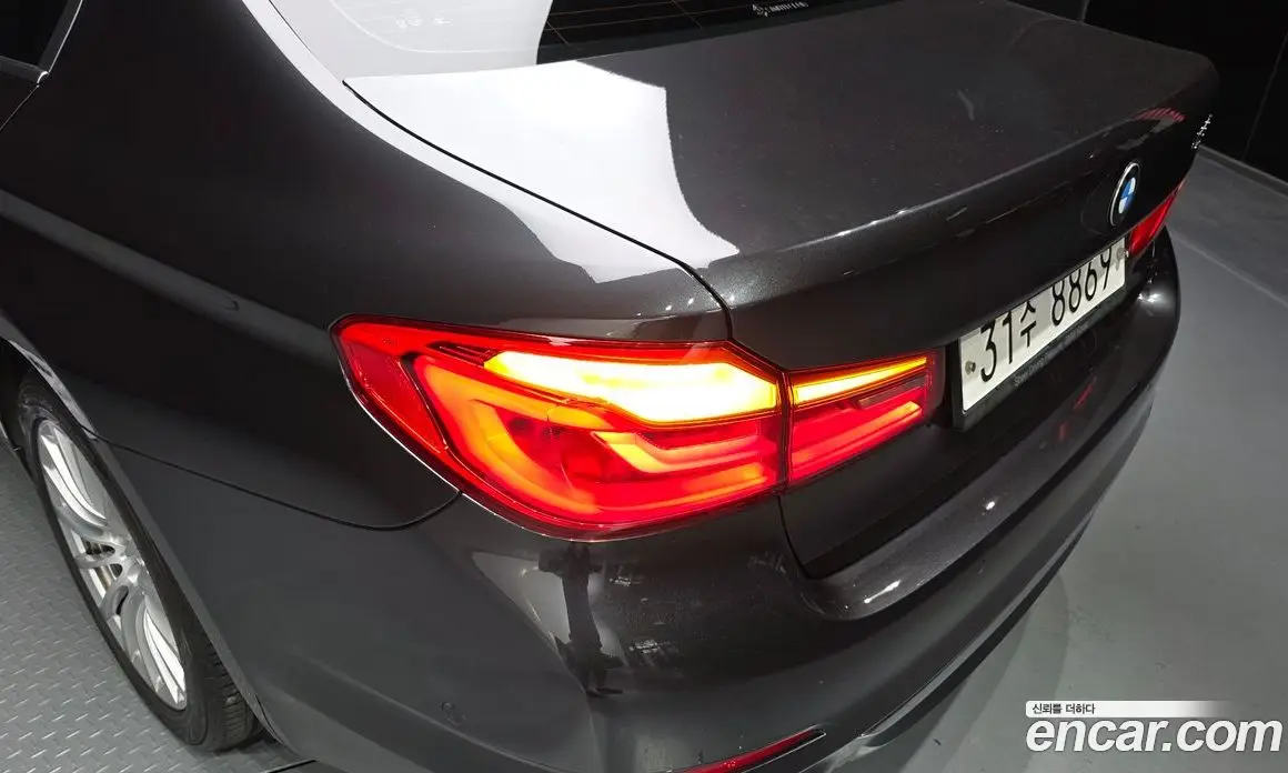 BMW 5 серия 2019 2.0 автомат (гидро), фото 8