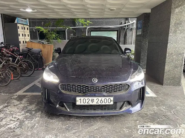 Kia Stinger 2020 2.0 автомат (гидро), миниатюра 3