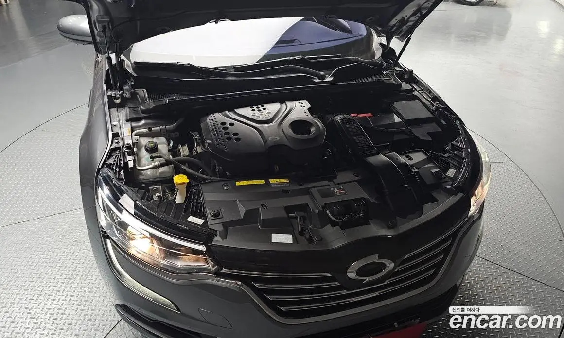 Renault (Samsung) SM6 2017 2.0 автомат (гидро), фото 6