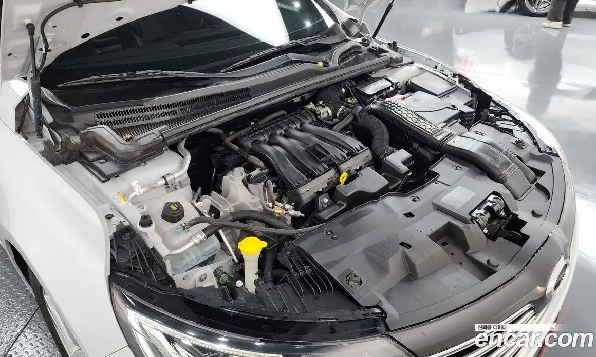 Renault (Samsung) SM6 2019 2.0 автомат (гидро), фото 6