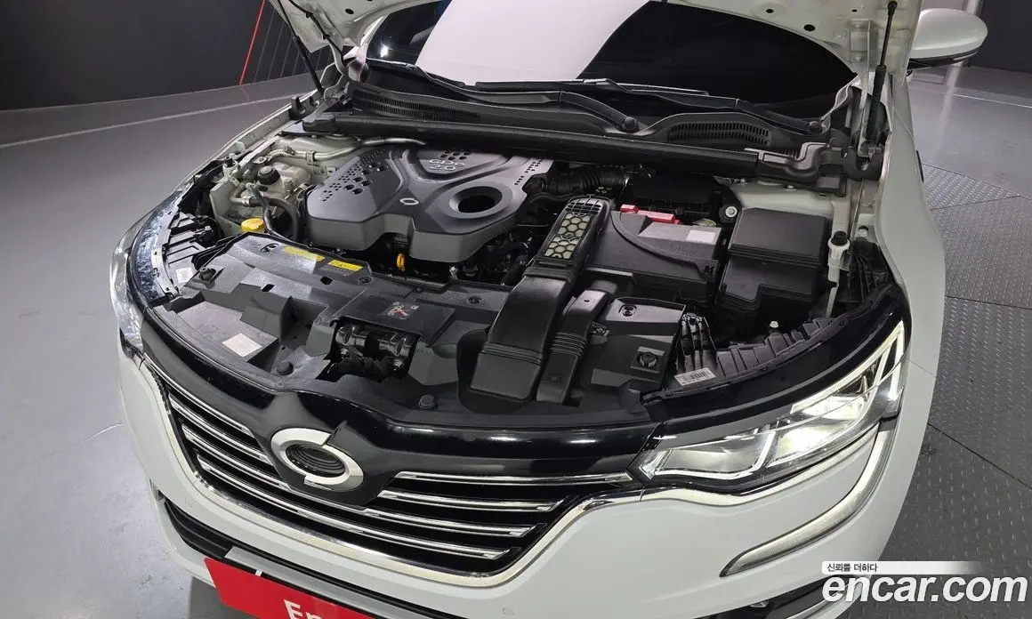 Renault (Samsung) SM6 2019 2.0 автомат (гидро), фото 6