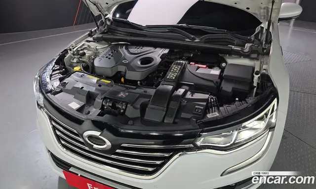Renault (Samsung) SM6 2019 2.0 автомат (гидро), миниатюра 6