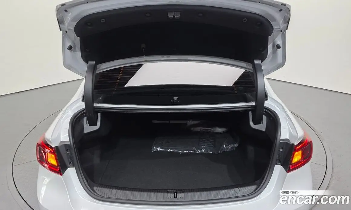 Renault (Samsung) SM6 2019 2.0 автомат (гидро), фото 31