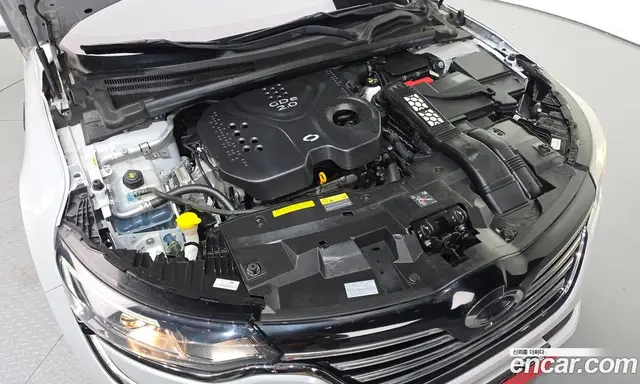 Renault (Samsung) SM6 2019 2.0 автомат (гидро), миниатюра 6