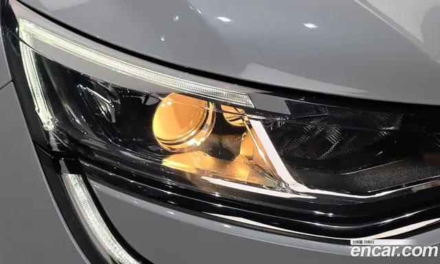 Renault (Samsung) SM6 2019 2.0 автомат (гидро), миниатюра 8