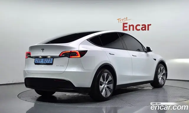 Tesla Model Y 2021 0.2 автомат (гидро), миниатюра 1