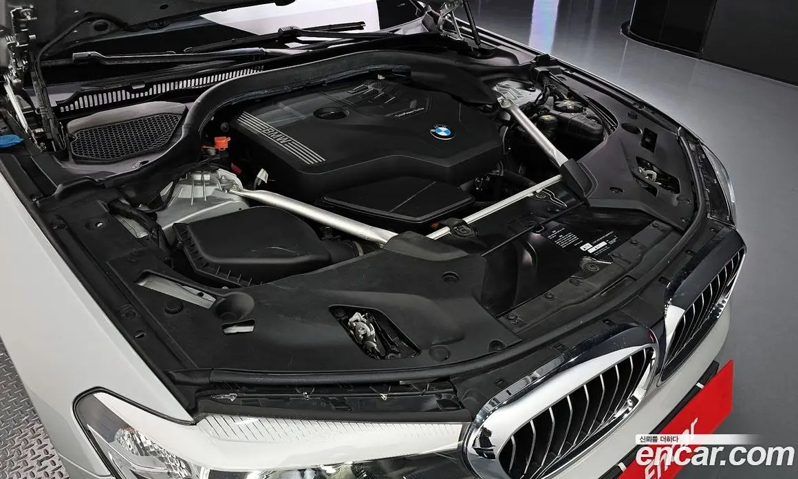 BMW 5 серия 2020 2.0 автомат (гидро), фото 6