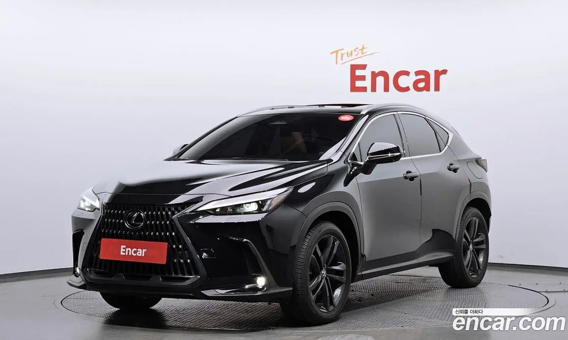 Lexus NX 2023 2.5 автомат (гидро), фото 1 Lexus NX 2023 2.5 автомат (гидро), фото 1