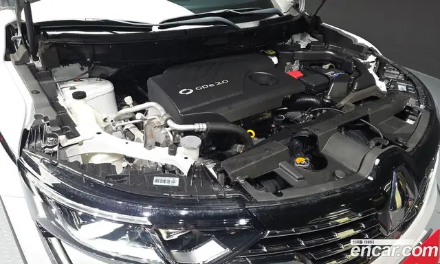Renault (Samsung) QM6 2019 2.0 автомат (гидро), миниатюра 6