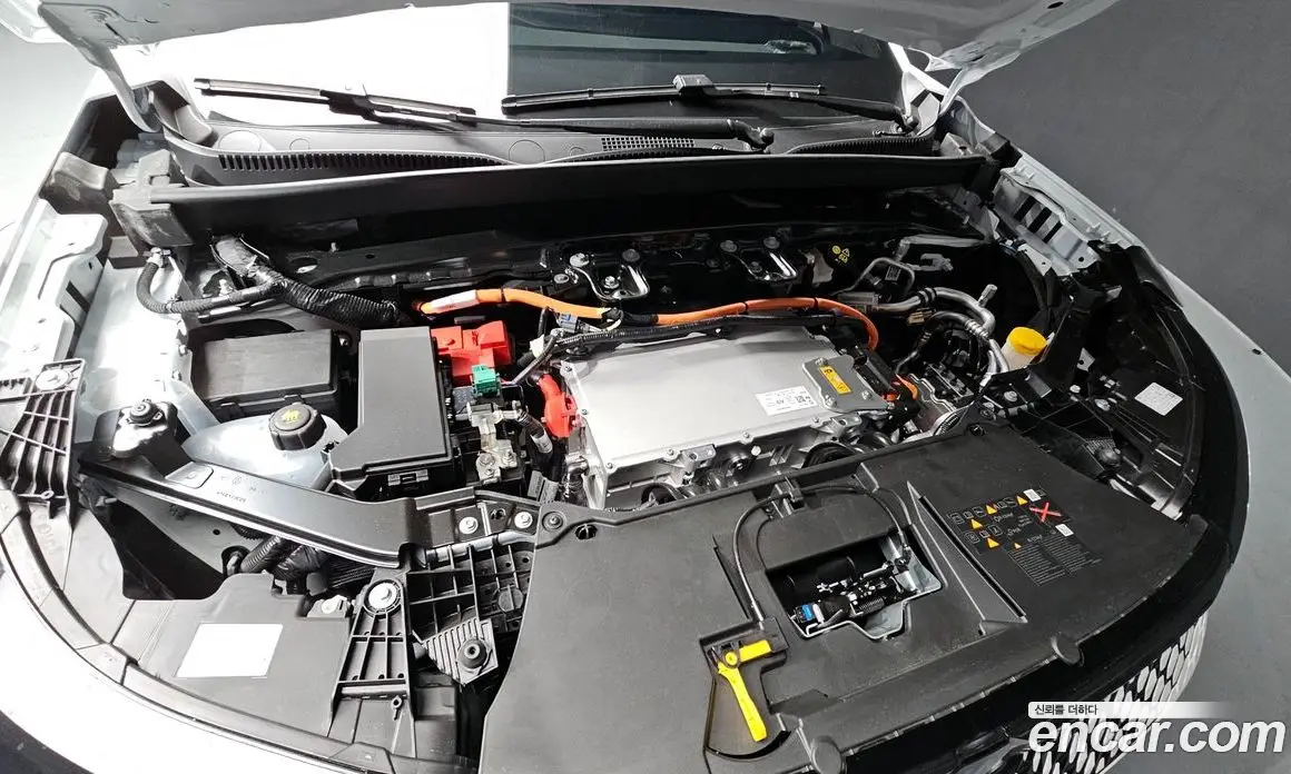 Renault (Samsung) Scenic 2026 0.4 автомат (гидро), фото 6