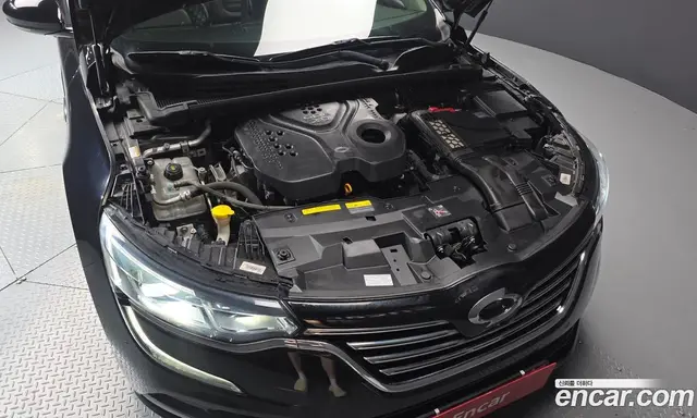 Renault (Samsung) SM6 2018 2.0 автомат (гидро), миниатюра 6