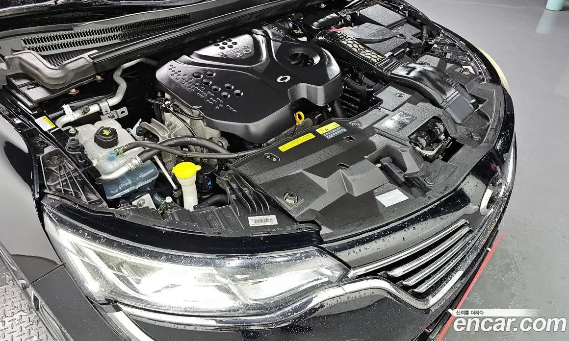 Renault (Samsung) SM6 2016 2.0 автомат (гидро), фото 6
