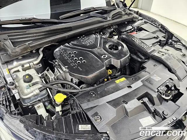 Renault (Samsung) SM6 2016 2.0 автомат (гидро), миниатюра 6