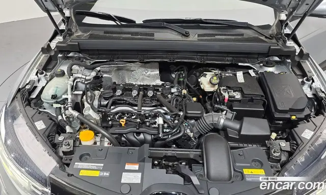 Renault (Samsung) XM3 2020 1.6 автомат (гидро), миниатюра 6