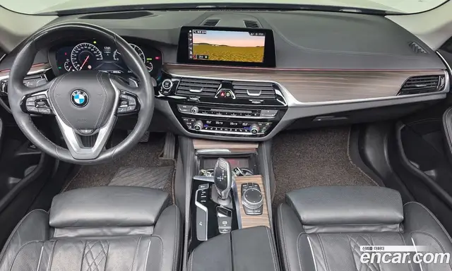 BMW 5 серия 2019 2.0 автомат (гидро), миниатюра 10
